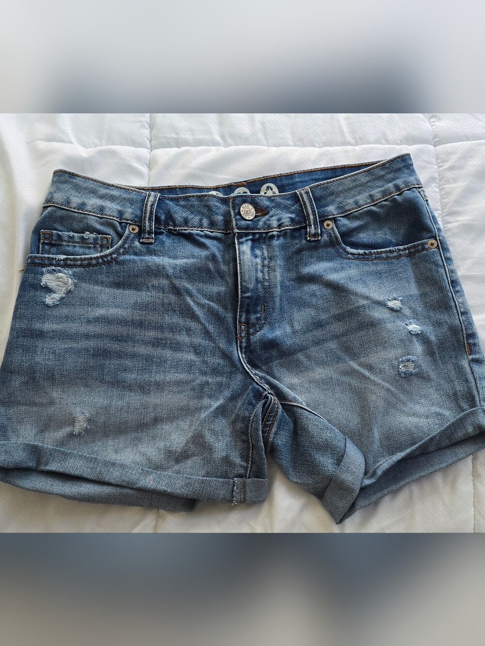 The girlfriend Vintage Reunion Shorts Size 0/24
